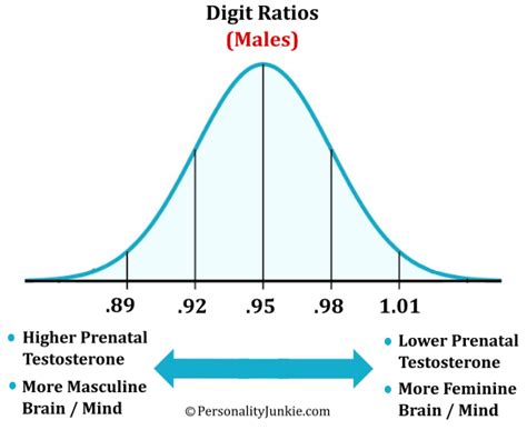 Digit Ratio: How to Measure It & What it Says about .